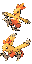 Combusken front sprite