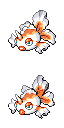 Goldeen front sprite