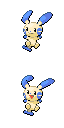 Minun front sprite