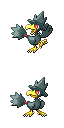 Murkrow front sprite