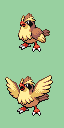 Pidgey front sprite