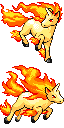 Rapidash front sprite