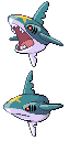 Sharpedo front sprite