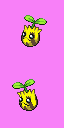 Sunkern front sprite
