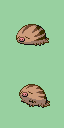 Swinub front sprite