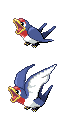 Taillow front sprite