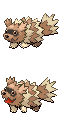 Zigzagoon front sprite