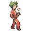 Albert trainer pic