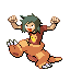 Dov trainer pic