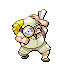 Avner trainer pic